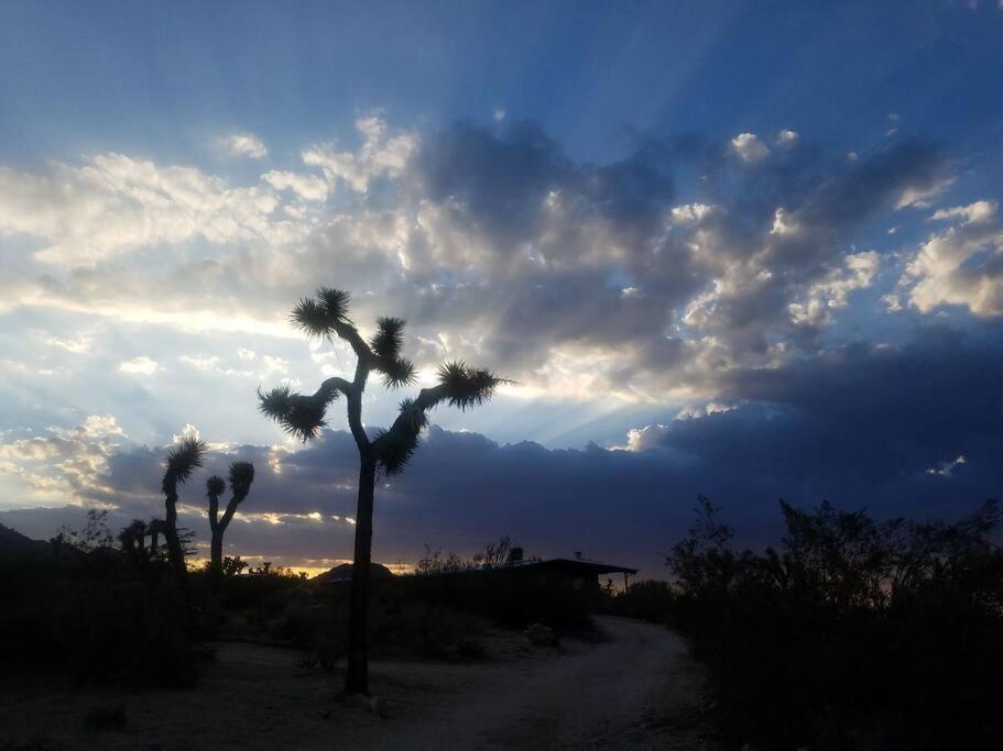Steph'S Panorama Paradise-Nat'L Park Minutes Away 约书亚树 外观 照片