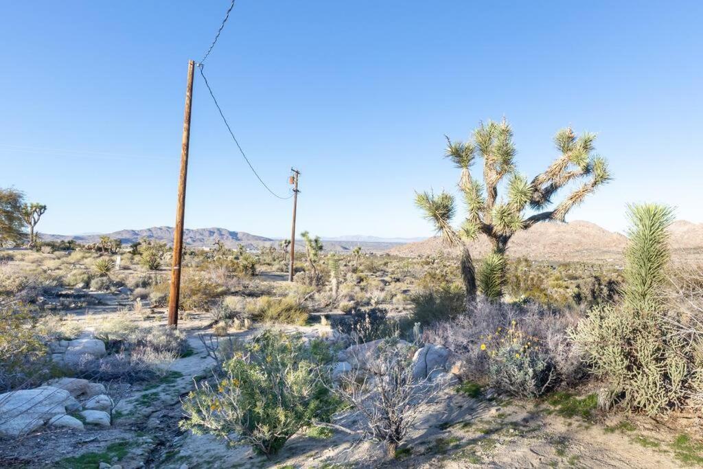 Steph'S Panorama Paradise-Nat'L Park Minutes Away 约书亚树 外观 照片