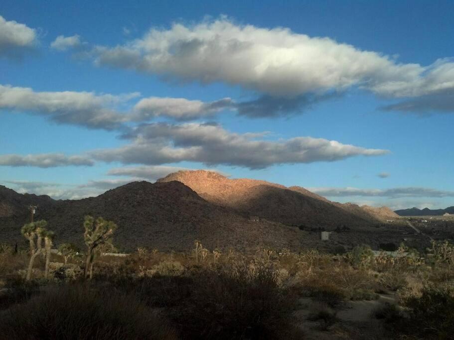 Steph'S Panorama Paradise-Nat'L Park Minutes Away 约书亚树 外观 照片