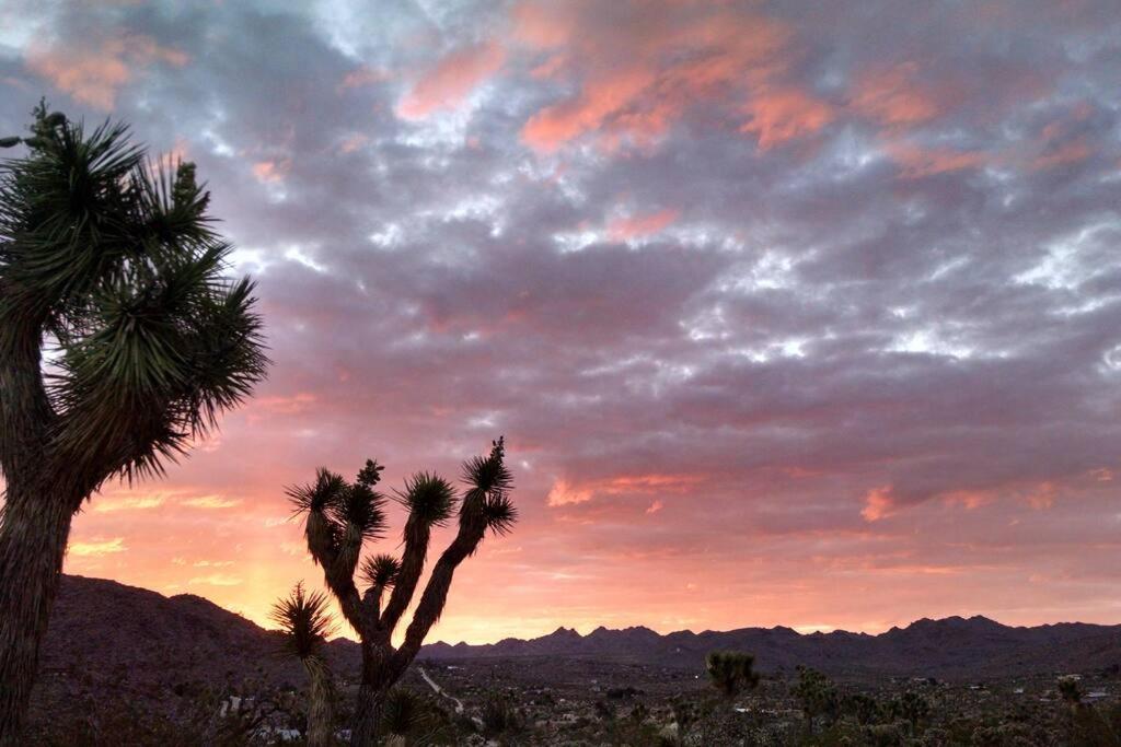 Steph'S Panorama Paradise-Nat'L Park Minutes Away 约书亚树 外观 照片